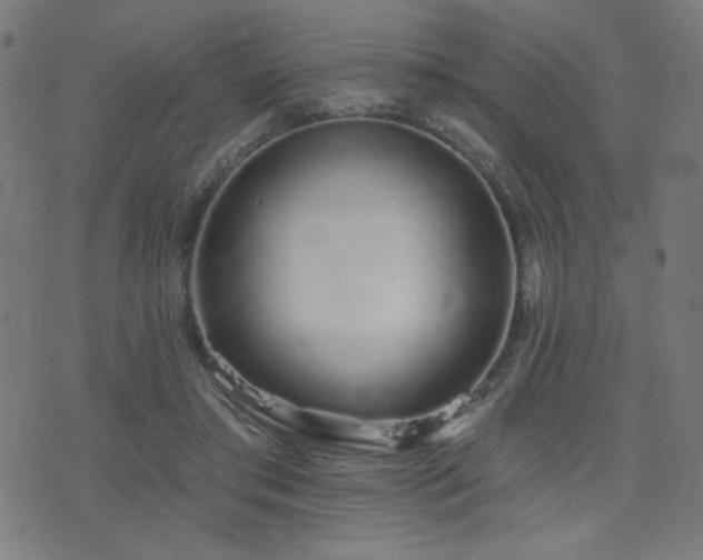 X0000072990405200607211204