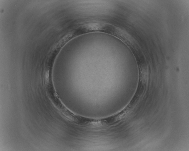 X0000072990406200607211204