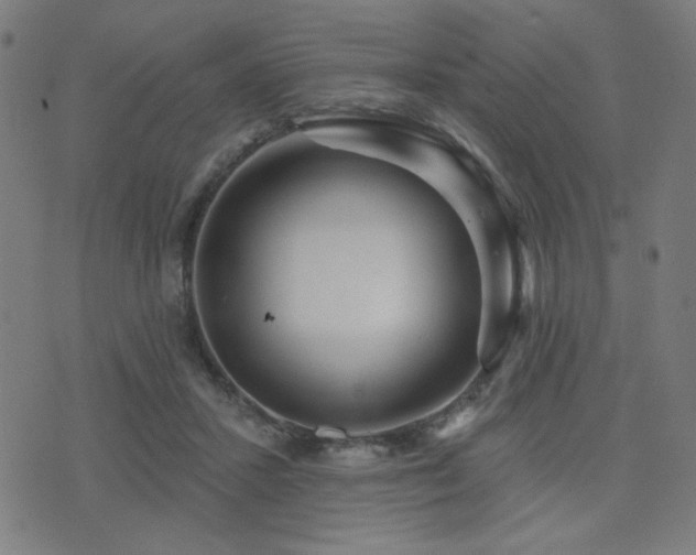 X0000072990407200607211204