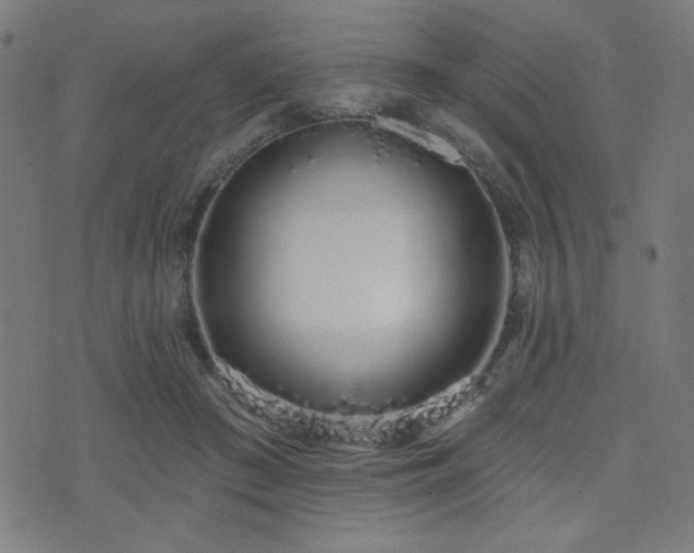 X0000072990409200607211204