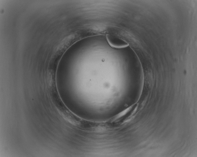 X0000072990412200607211204