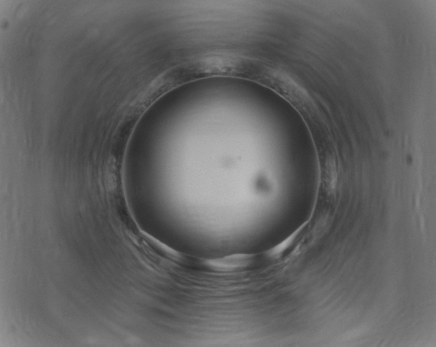 X0000072990413200607211204