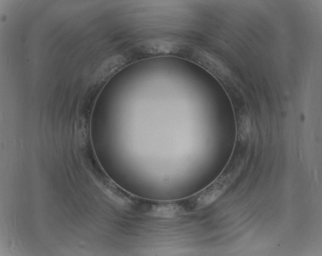 X0000072990414200607211204