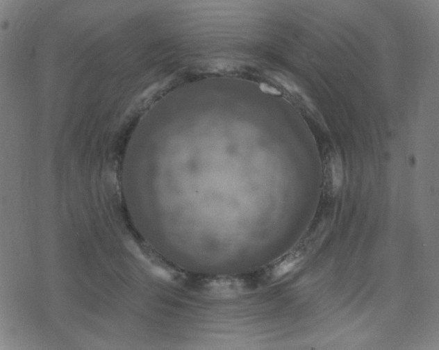 X0000072990415200607211204