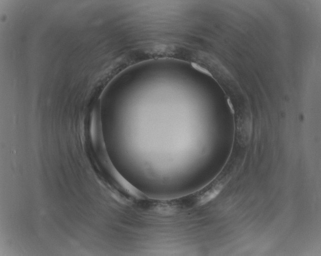 X0000072990416200607211204