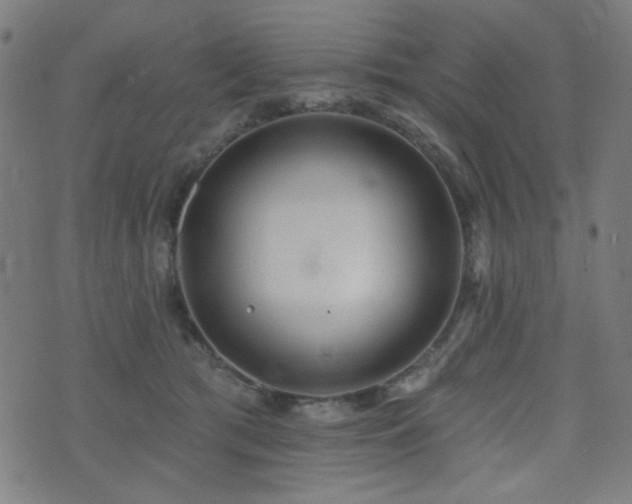 X0000072990417200607211204