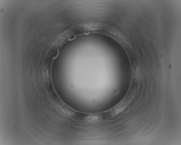 X0000072990418200607211204