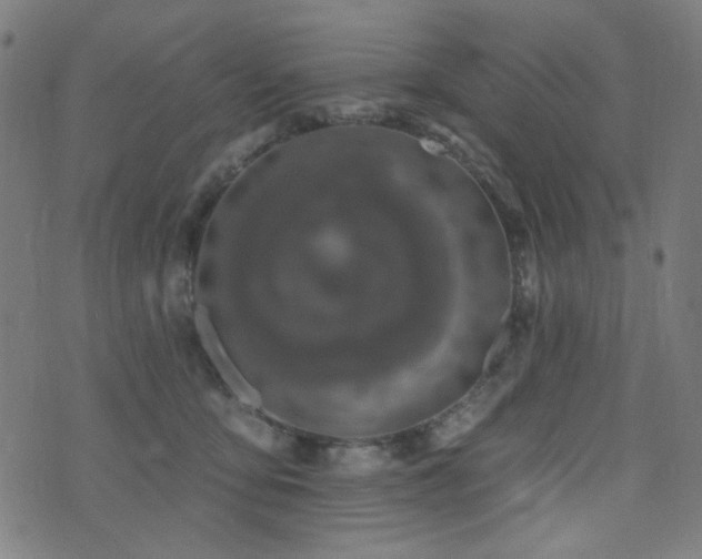 X0000072990419200607211204