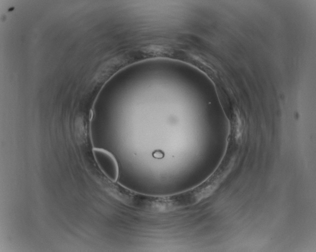 X0000072990420200607211203