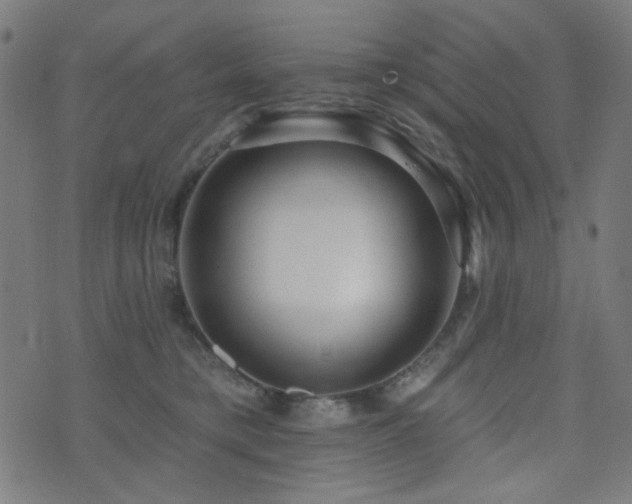 X0000072990421200607211203