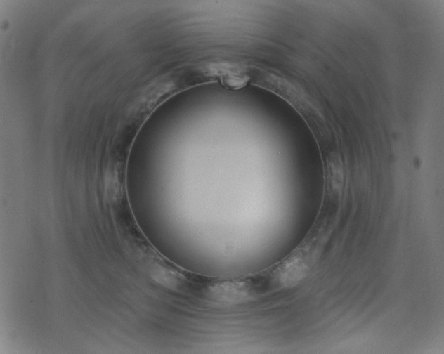 X0000072990422200607211203