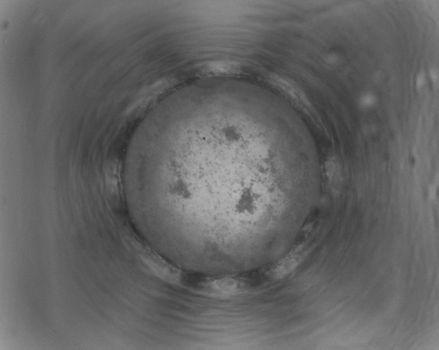 X0000072990423200607211203