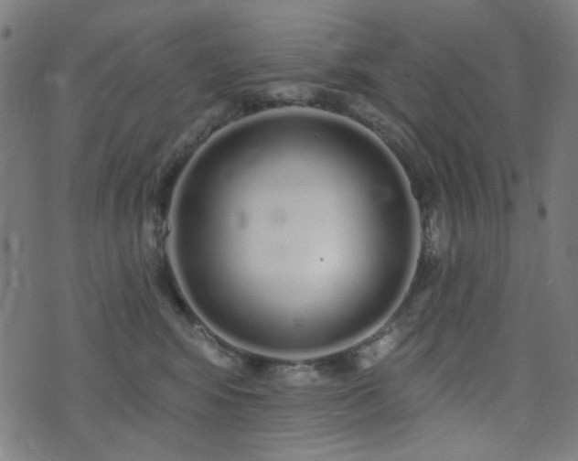 X0000072990424200607211203