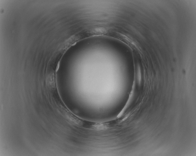 X0000072990425200607211203