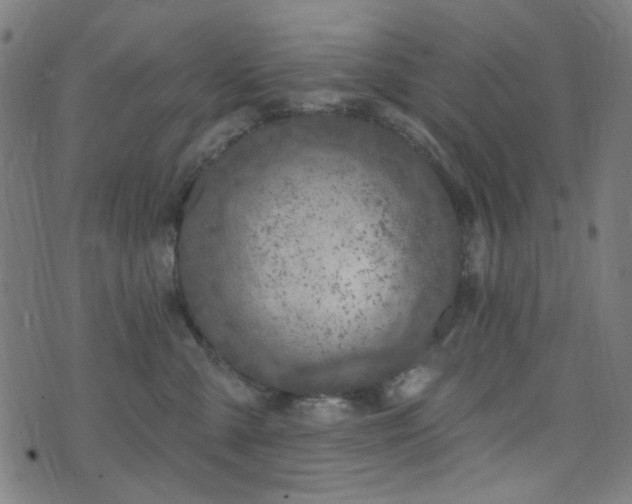 X0000072990427200607211203