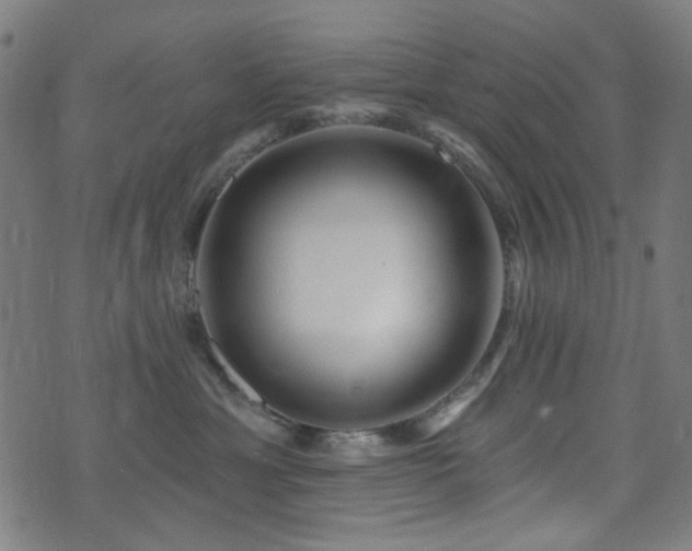 X0000072990429200607211203