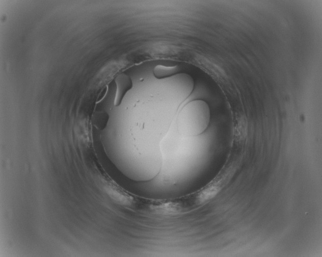 X0000072990430200607211203