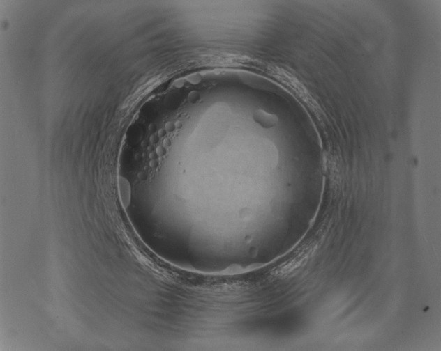 X0000072990433200607211202