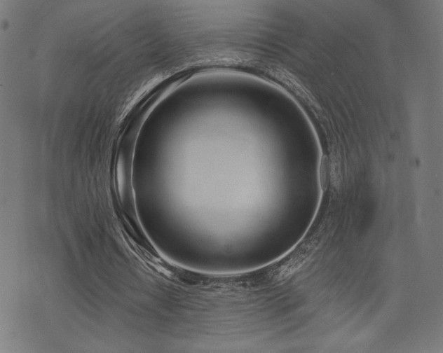 X0000072990434200607211203