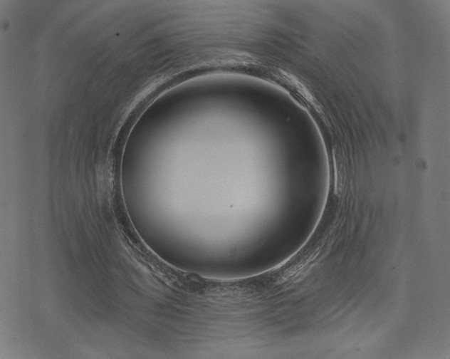 X0000072990435200607211203