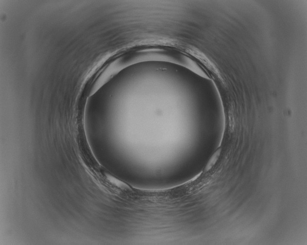 X0000072990436200607211203