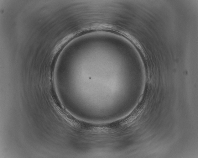 X0000072990437200607211203