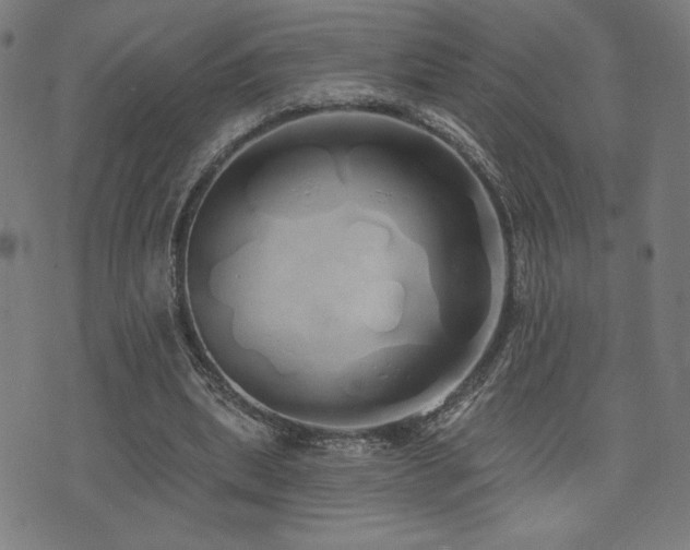 X0000072990439200607211203