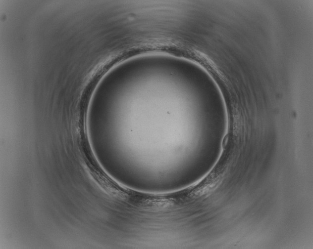 X0000072990443200607211203