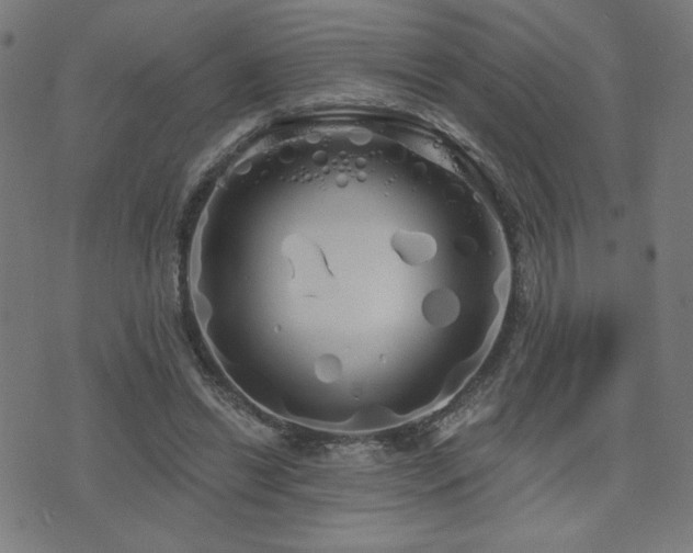 X0000072990446200607211203