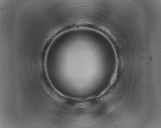 X0000072990447200607211203