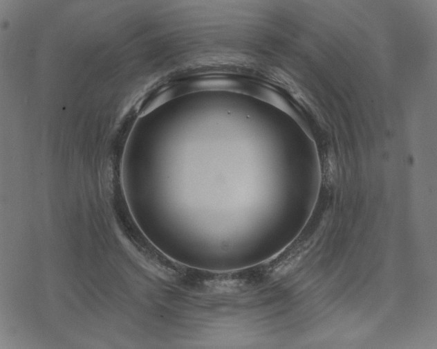 X0000072990448200607211203