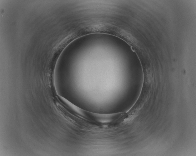 X0000072990450200607211203