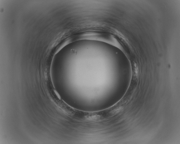 X0000072990452200607211203