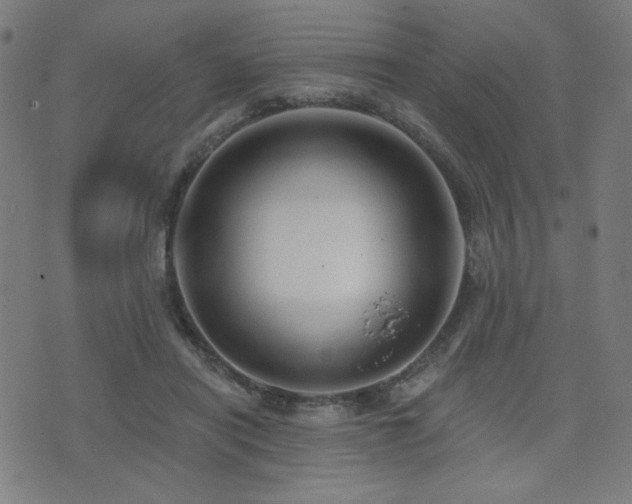 X0000072990454200607211203