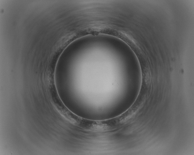 X0000072990455200607211203