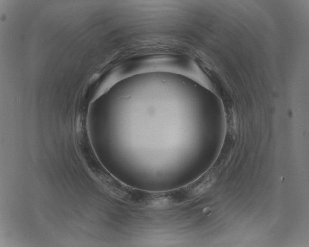 X0000072990456200607211203