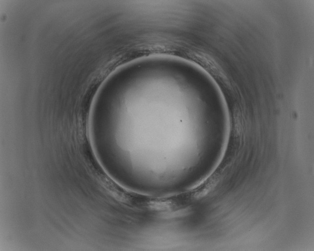 X0000072990457200607211203