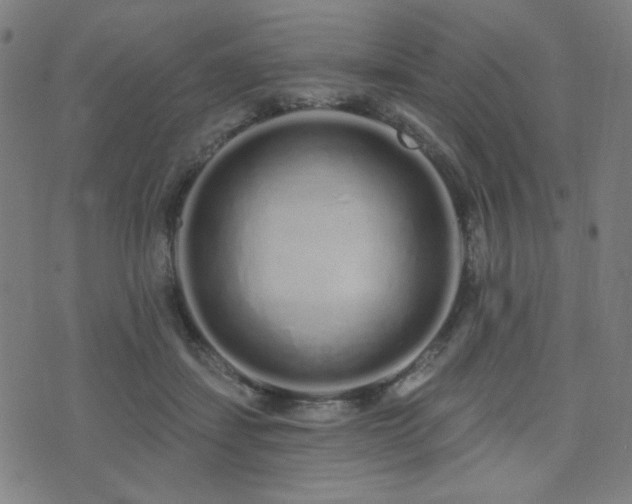 X0000072990459200607211203