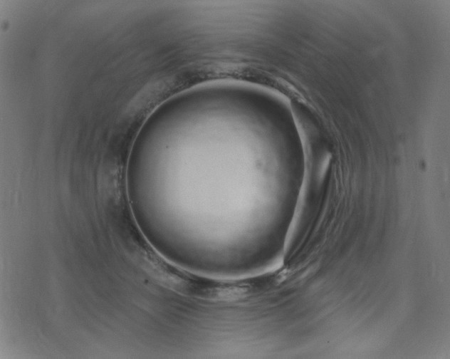 X0000072990462200607211203