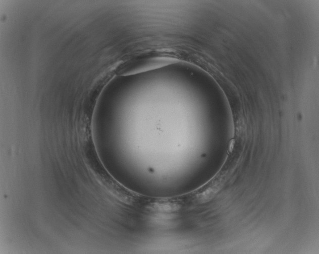 X0000072990464200607211203