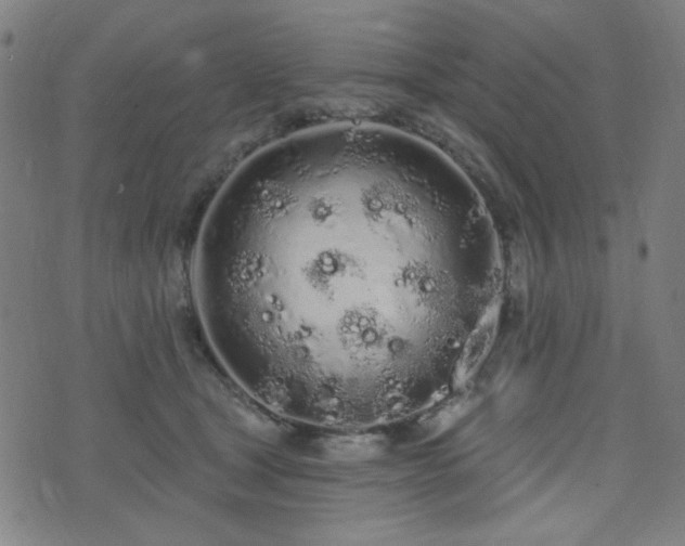 X0000072990465200607211203