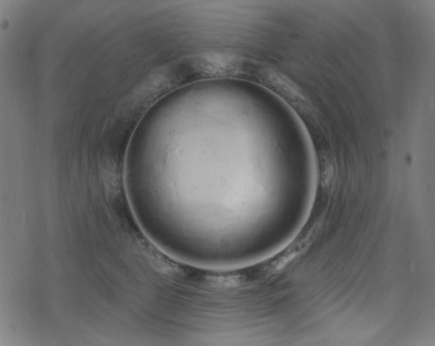 X0000072990469200607211203