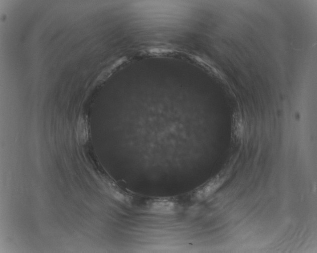 X0000072990471200607211203