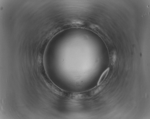 X0000072990472200607211203