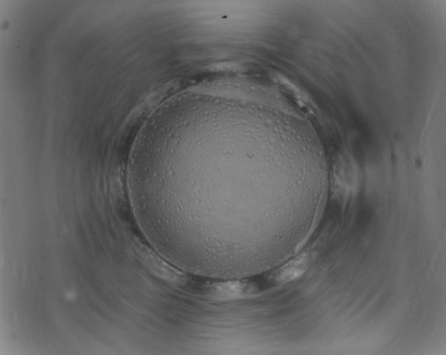 X0000072990473200607211203