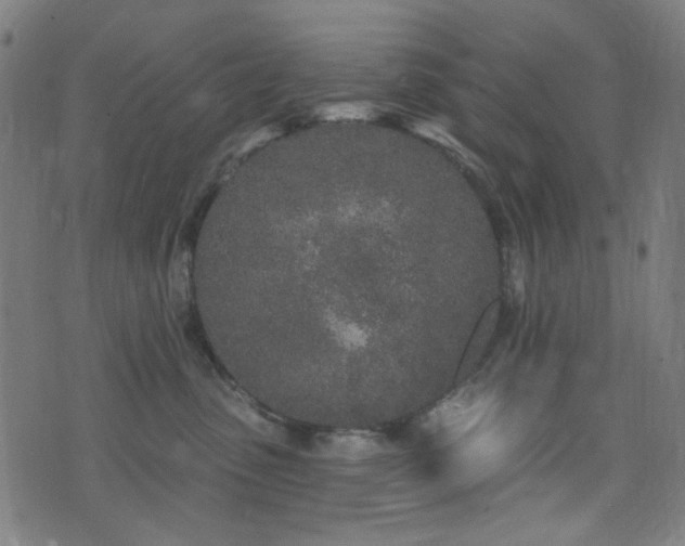 X0000072990475200607211203