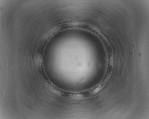 X0000072990476200607211203