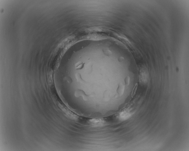 X0000072990477200607211203