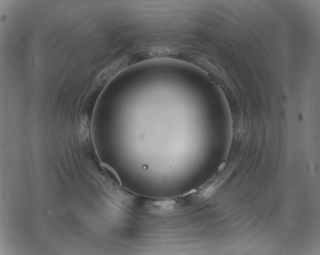 X0000072990478200607211203