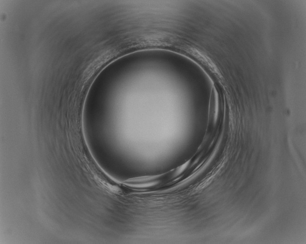 X0000072990481200607211202